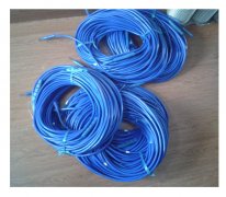 測溫電纜